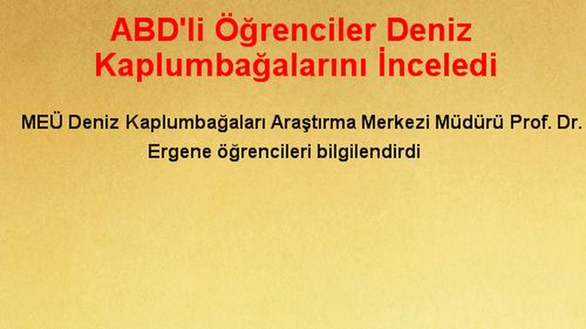 ABD\'li Öğrenciler Deniz Kaplumbağalarını İnceledi