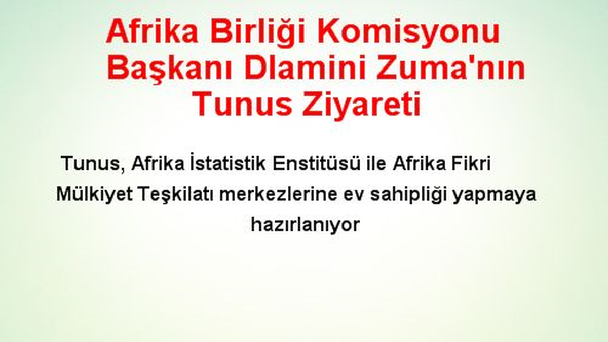 Afrika Birliği Komisyonu Başkanı Dlamini Zuma\'nın Tunus Ziyareti