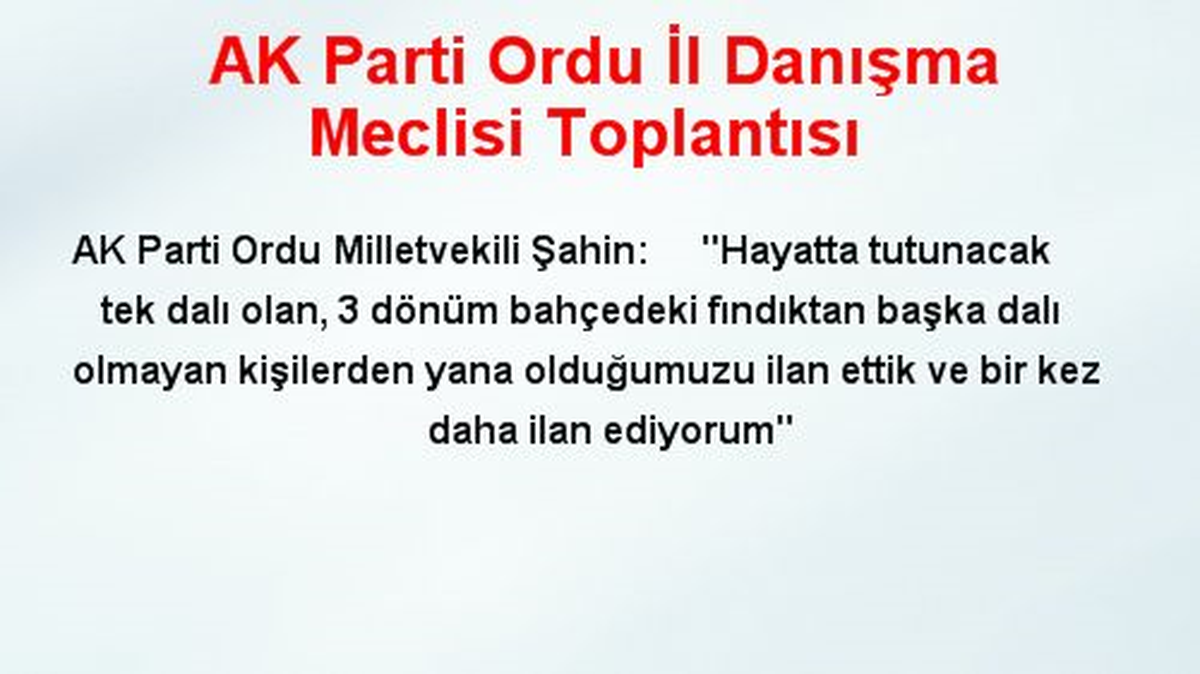 AK Parti Ordu İl Danışma Meclisi Toplantısı