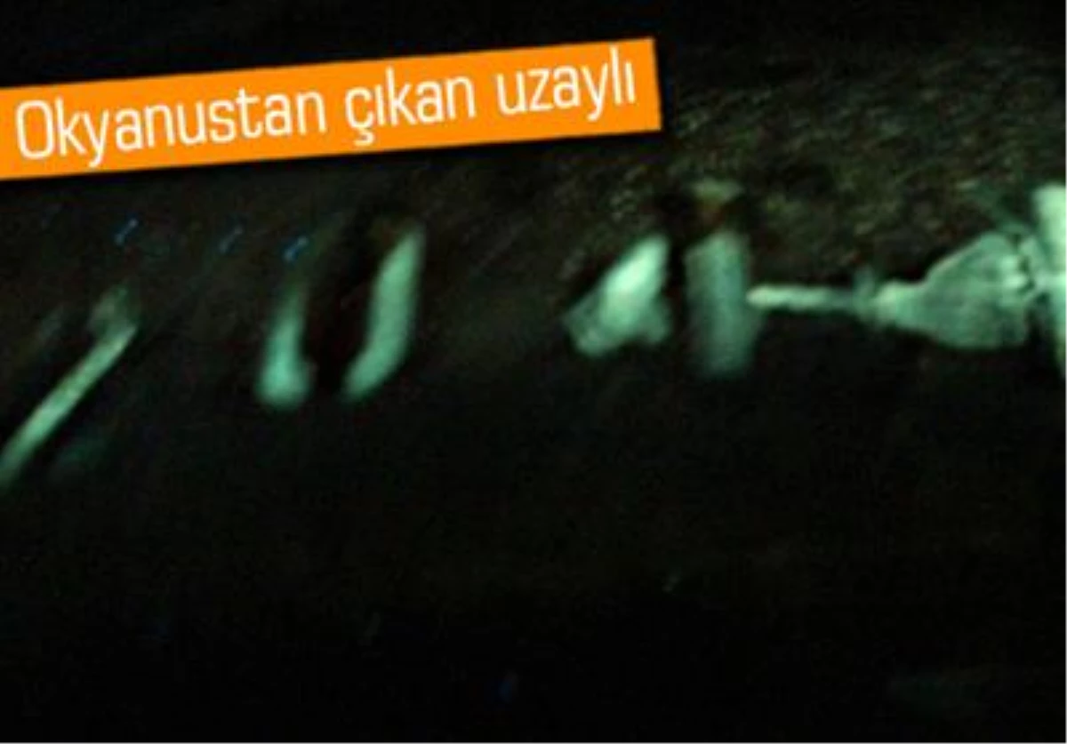 Ay\'a İlk Kez İnsan Taşıyan Apollo 11 Adlı Uzay Mekiği Okyanusta Bulundu