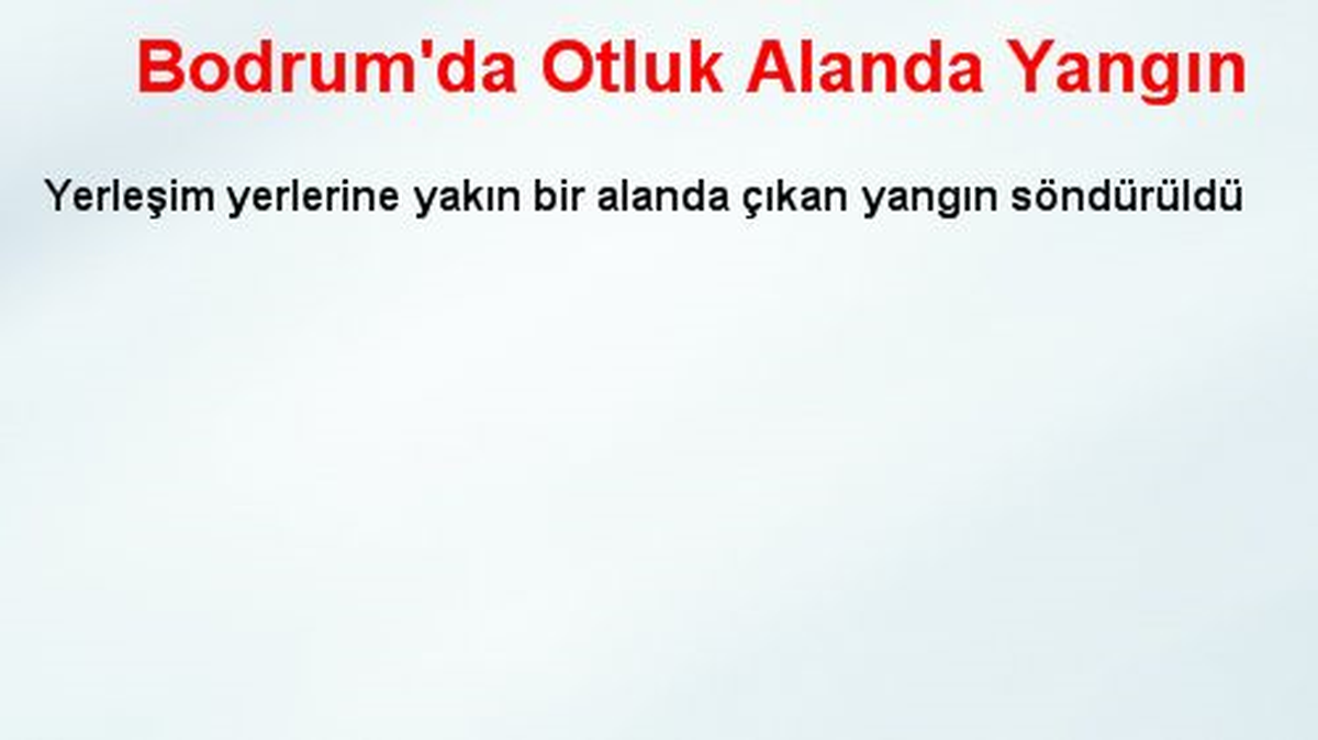 Bodrum\'da Otluk Alanda Yangın