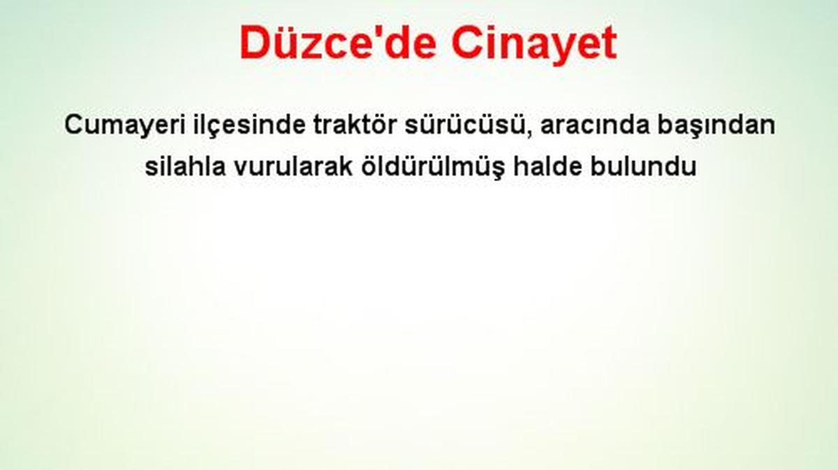 Düzce\'de Cinayet