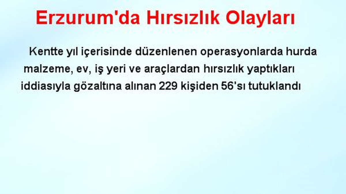 Erzurum\'da Hırsızlık Olayları