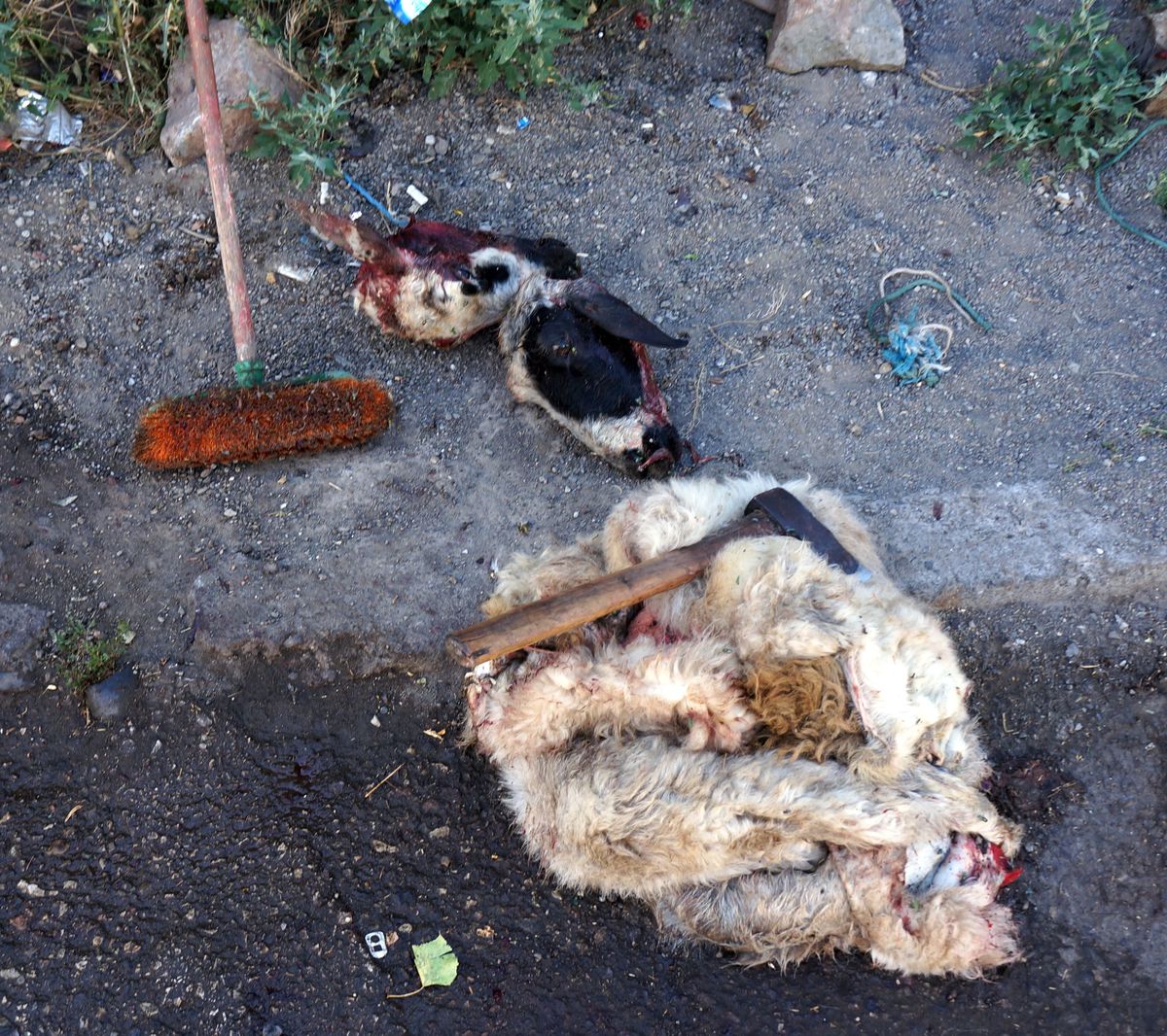 Erzurum\'da Kaçak Et Operasyonu