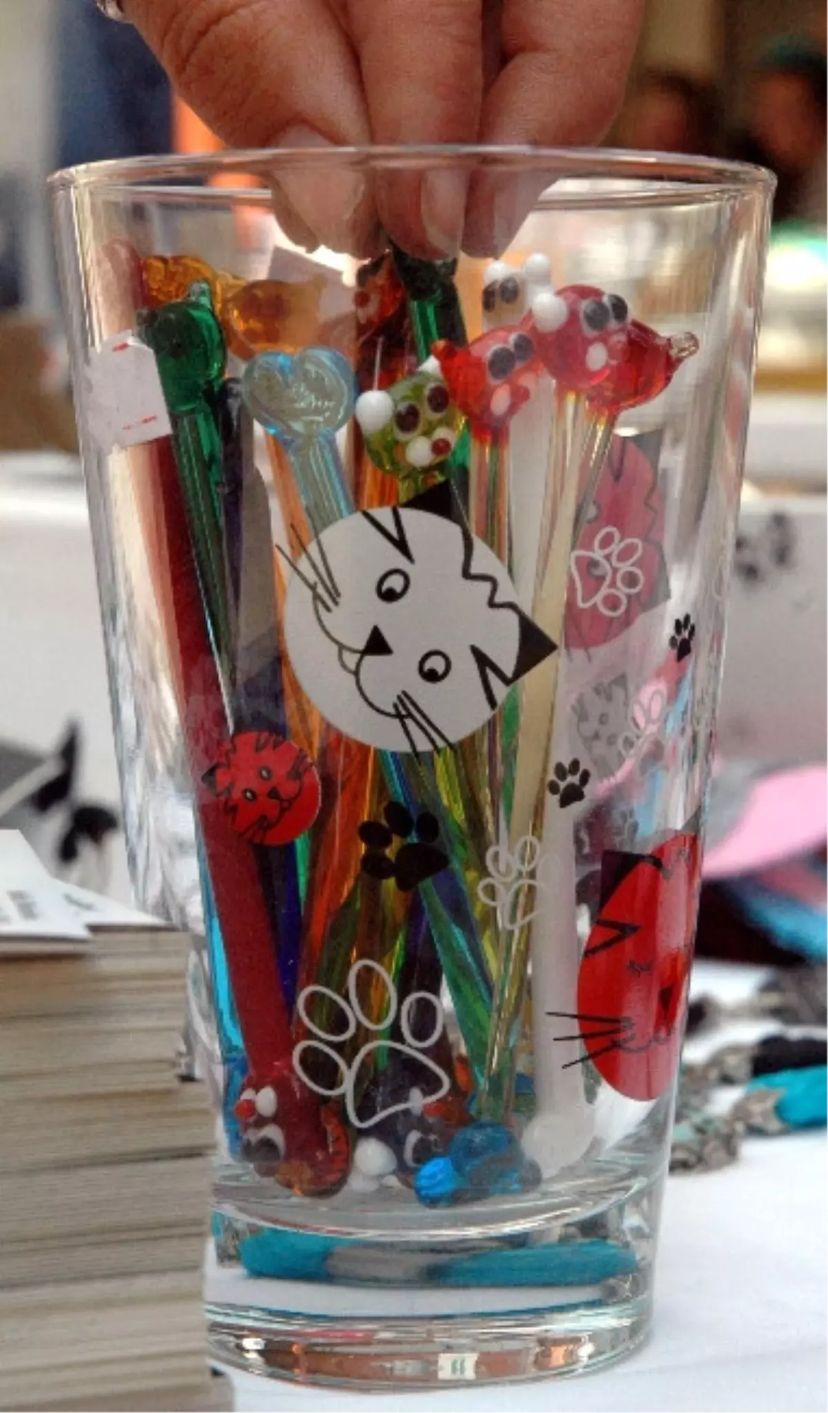 Eskişehir\'de Sokak Hayvanları Festivali