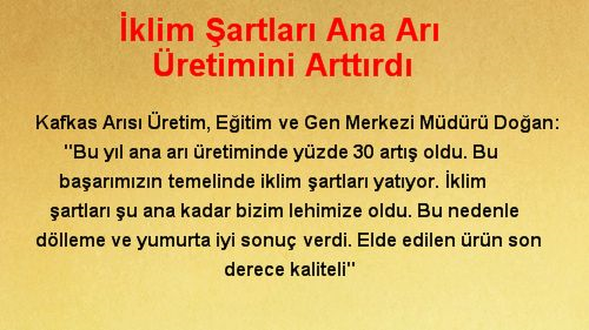 İklim Şartları Ana Arı Üretimini Arttırdı