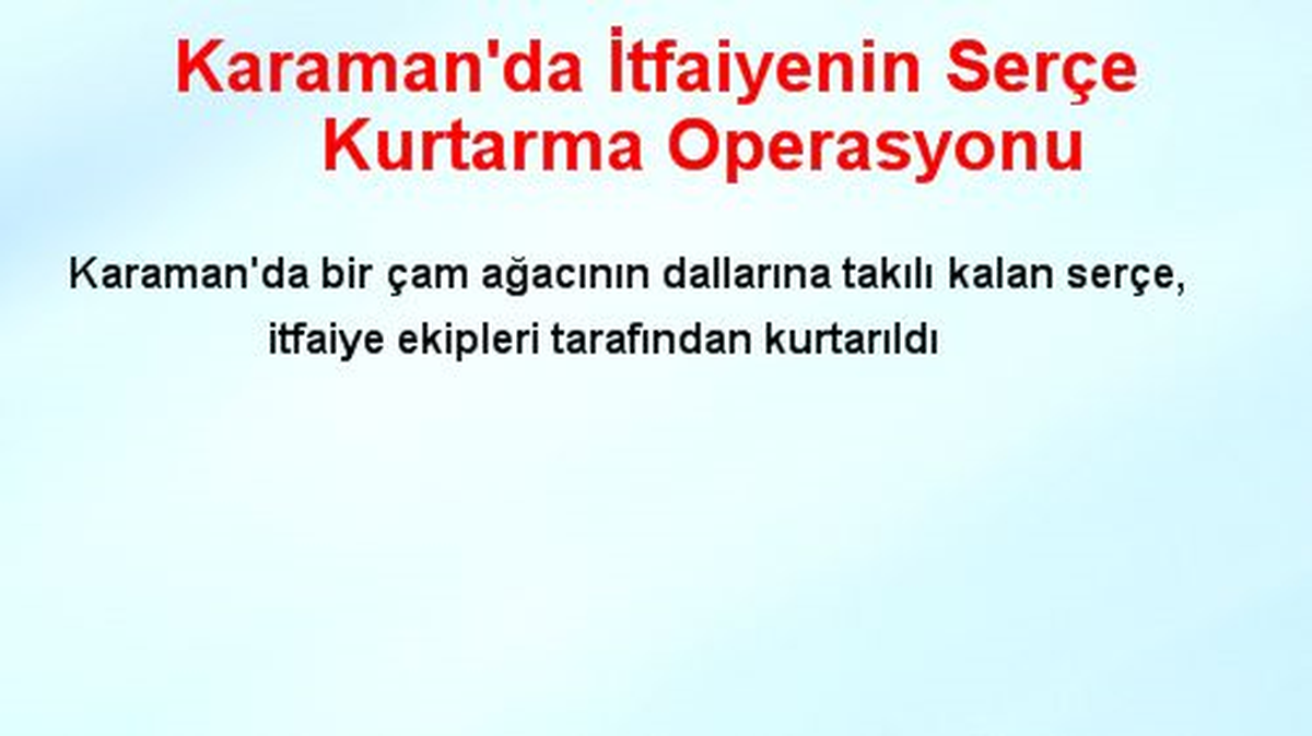 Karaman\'da İtfaiyenin Serçe Kurtarma Operasyonu