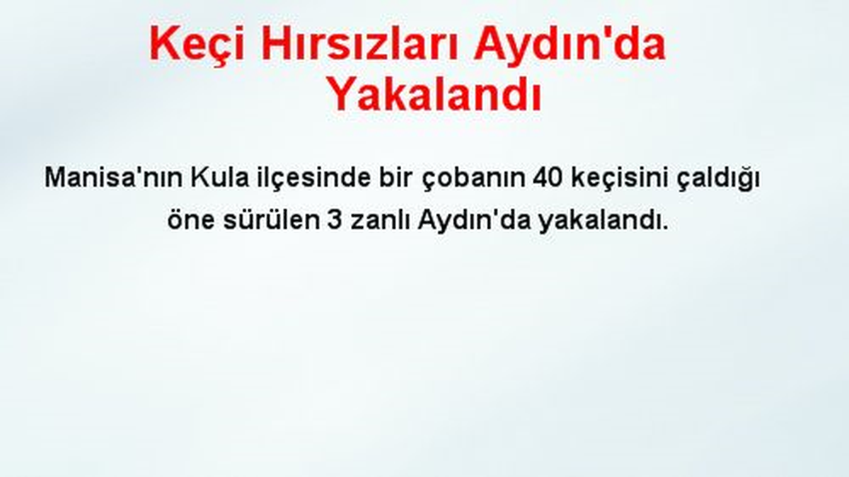 Keçi Hırsızları Aydın\'da Yakalandı