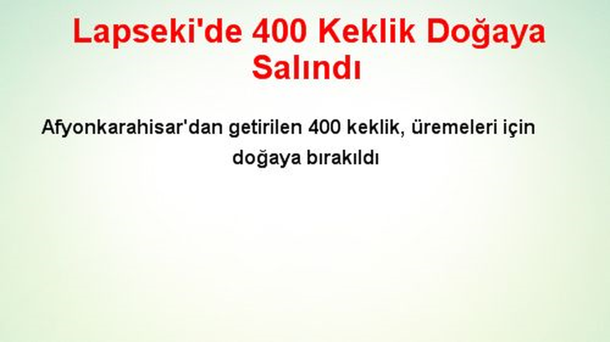Lapseki\'de 400 Keklik Doğaya Salındı