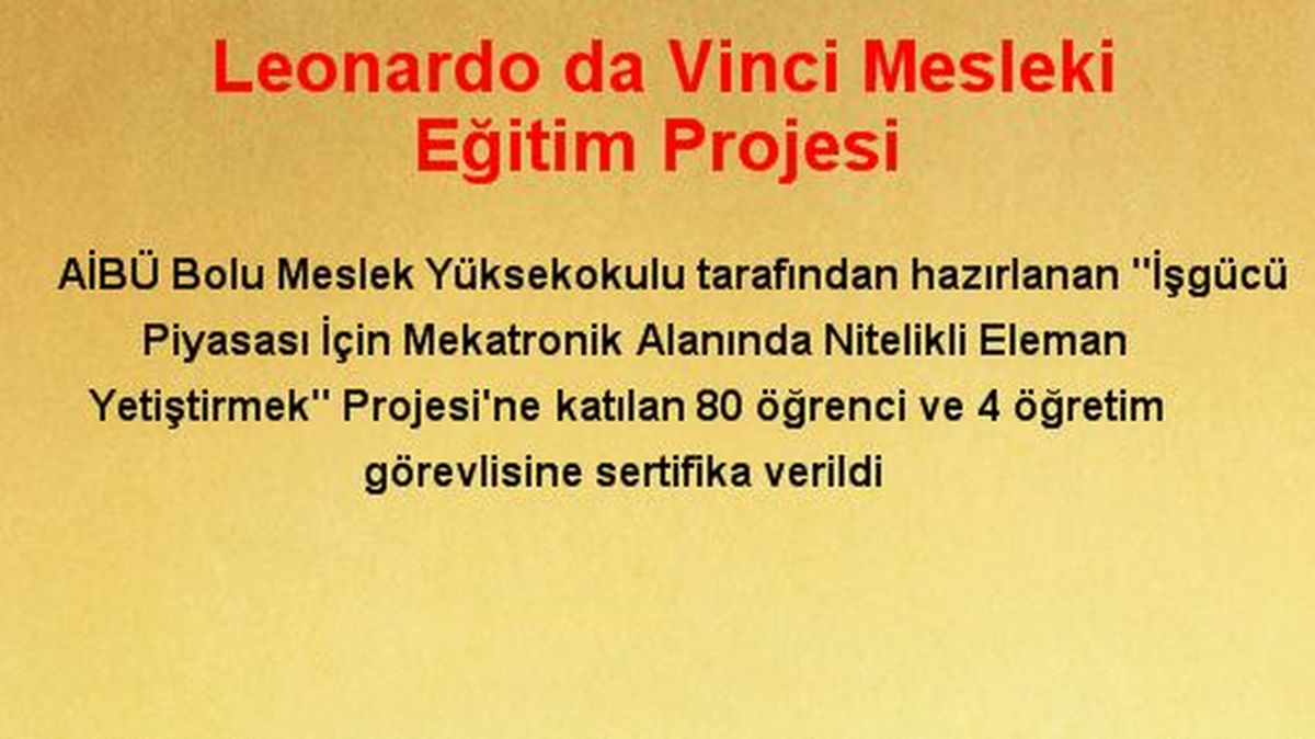 Leonardo da Vinci Mesleki Eğitim Projesi