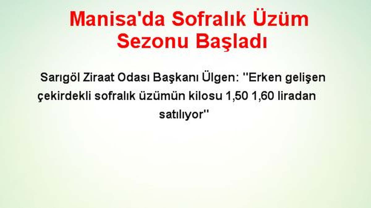 Manisa\'da Sofralık Üzüm Sezonu Başladı