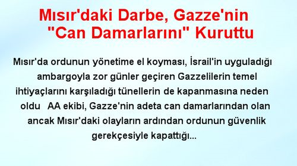 Eskişehir\'de Sokak Hayvanları Festivali