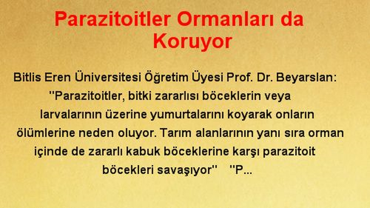 Parazitoitler Ormanları da Koruyor