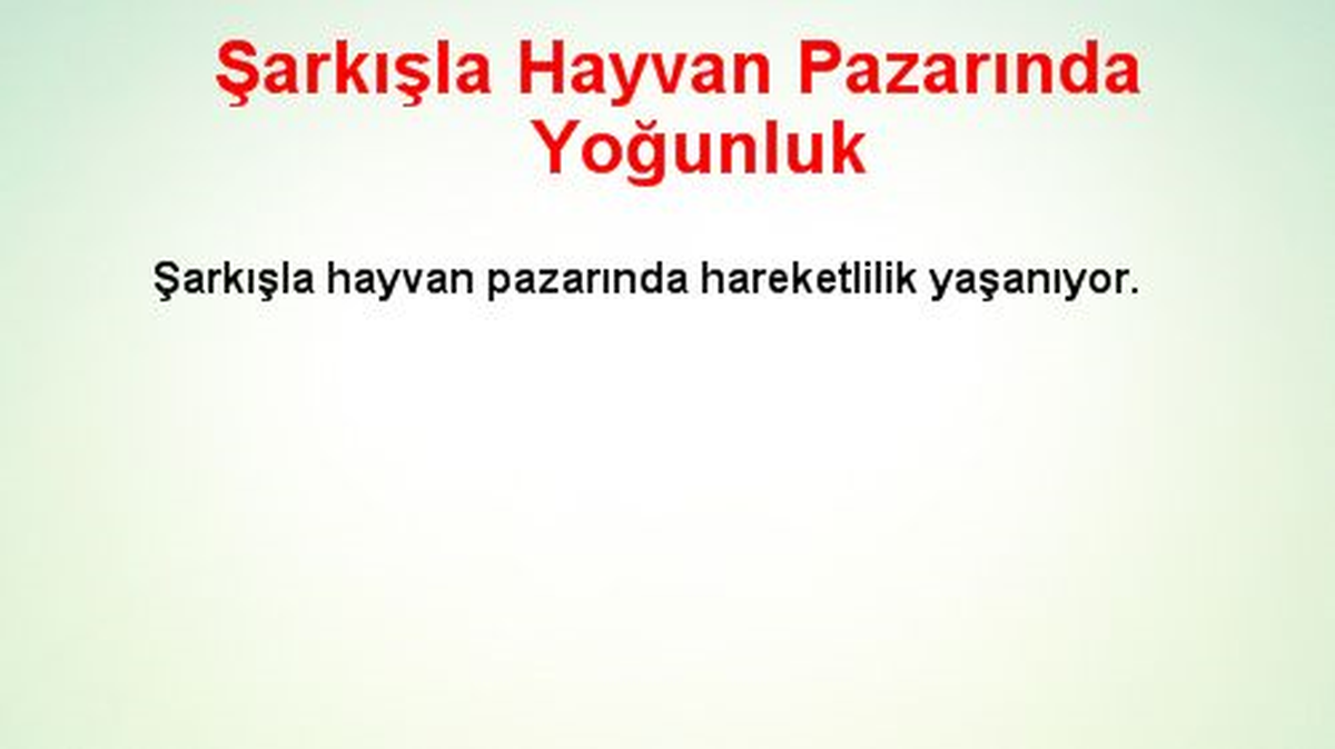 Şarkışla Hayvan Pazarında Yoğunluk