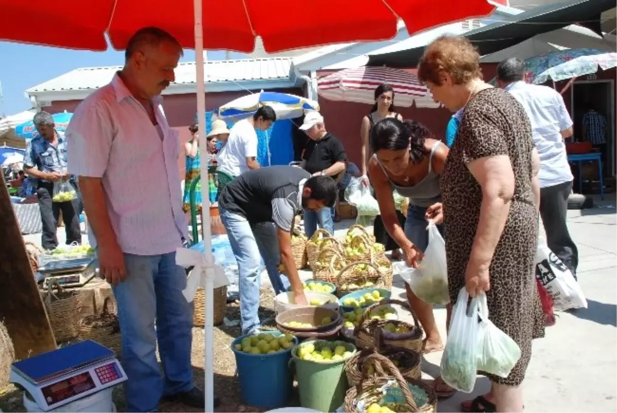 Süper İncir Didim Tezgahlarda..