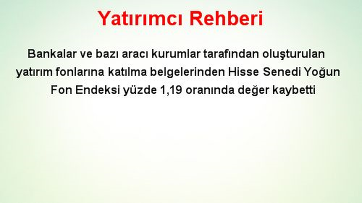 Yatırımcı Rehberi