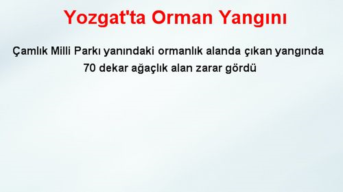 Yozgat\'ta Orman Yangını