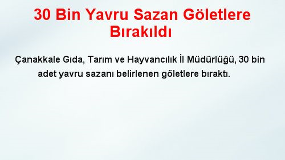 30 Bin Yavru Sazan Göletlere Bırakıldı