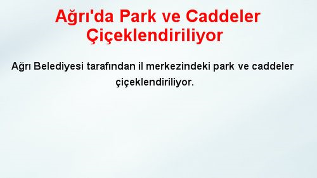 Ağrı\'da Park ve Caddeler Çiçeklendiriliyor