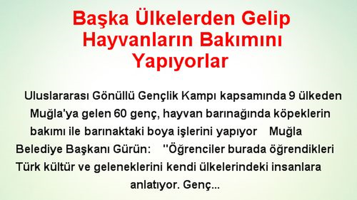 Başka Ülkelerden Gelip Hayvanların Bakımını Yapıyorlar