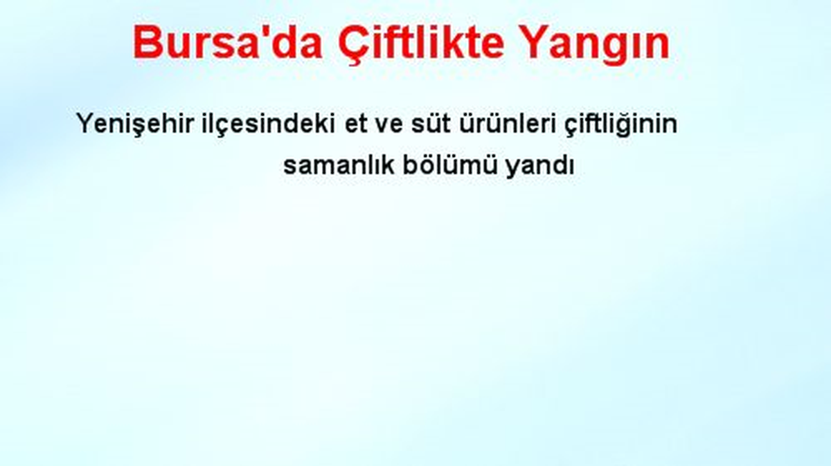 Bursa\'da Çiftlikte Yangın