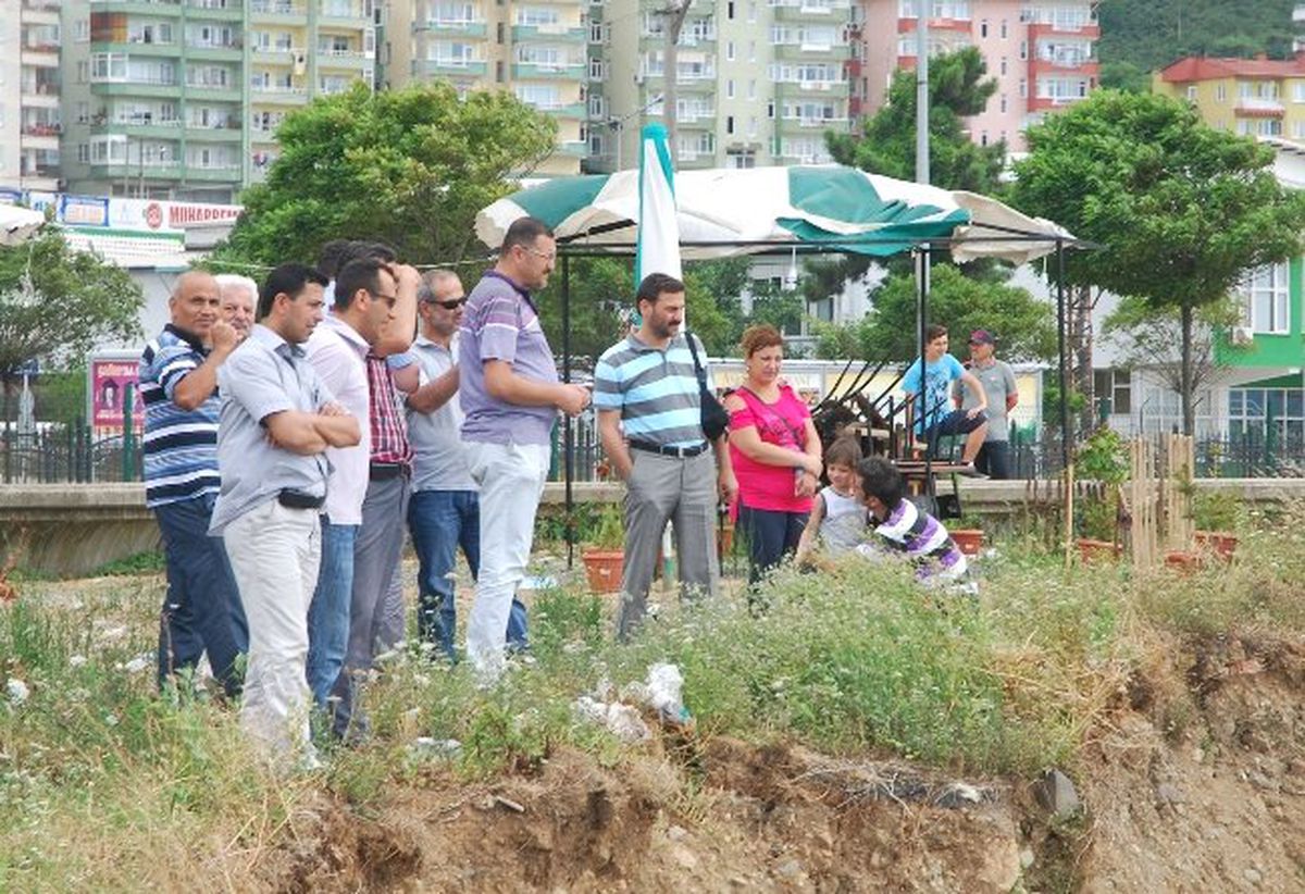 Ceset Sanıldı Ağaç Kökü Çıktı