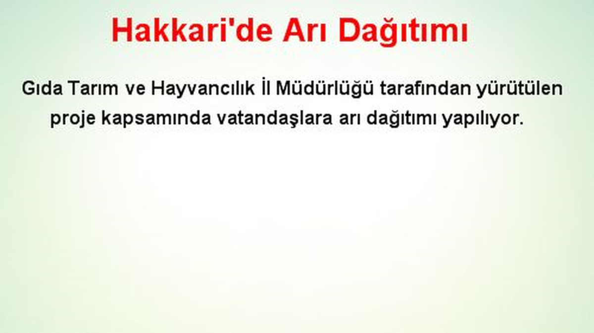 Hakkari\'de Arı Dağıtımı