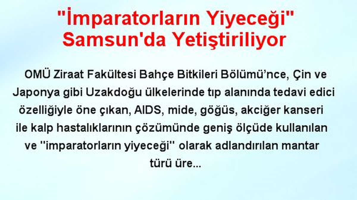 "İmparatorların Yiyeceği" Samsun\'da Yetiştiriliyor