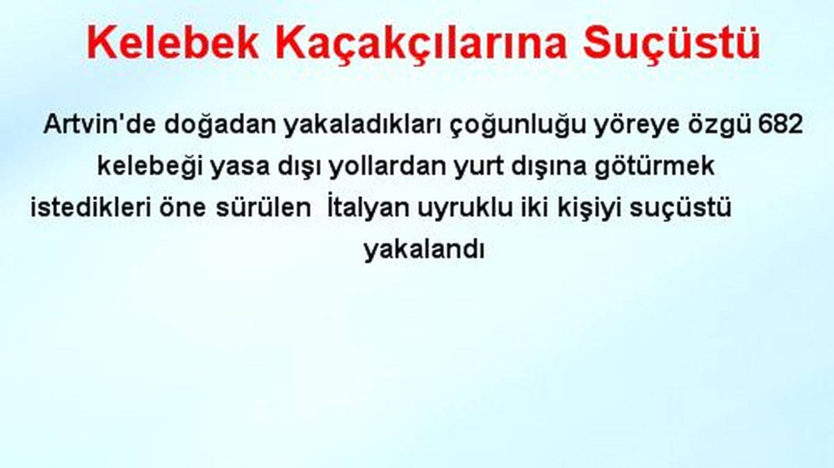 Kelebek Kaçakçılarına Suçüstü