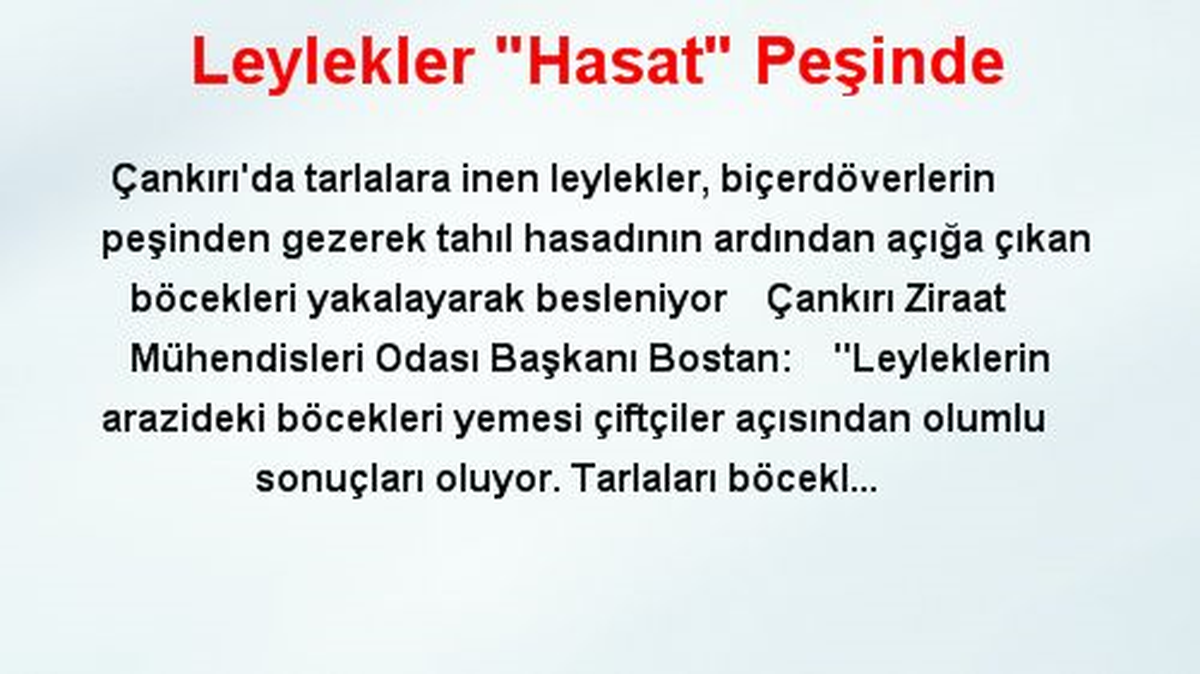 Leylekler "Hasat" Peşinde