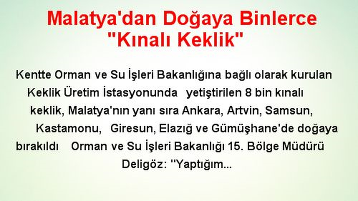 Malatya\'dan Doğaya Binlerce "Kınalı Keklik"