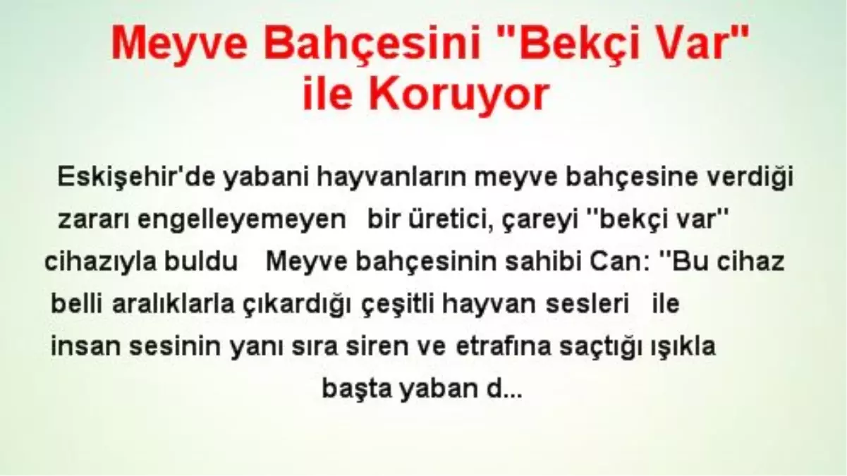 Meyve Bahçesini 