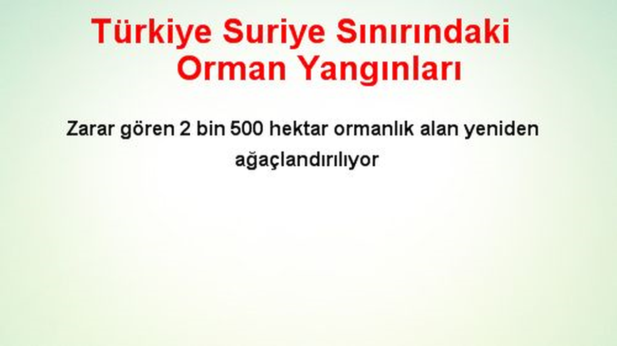 Türkiye Suriye Sınırındaki Orman Yangınları