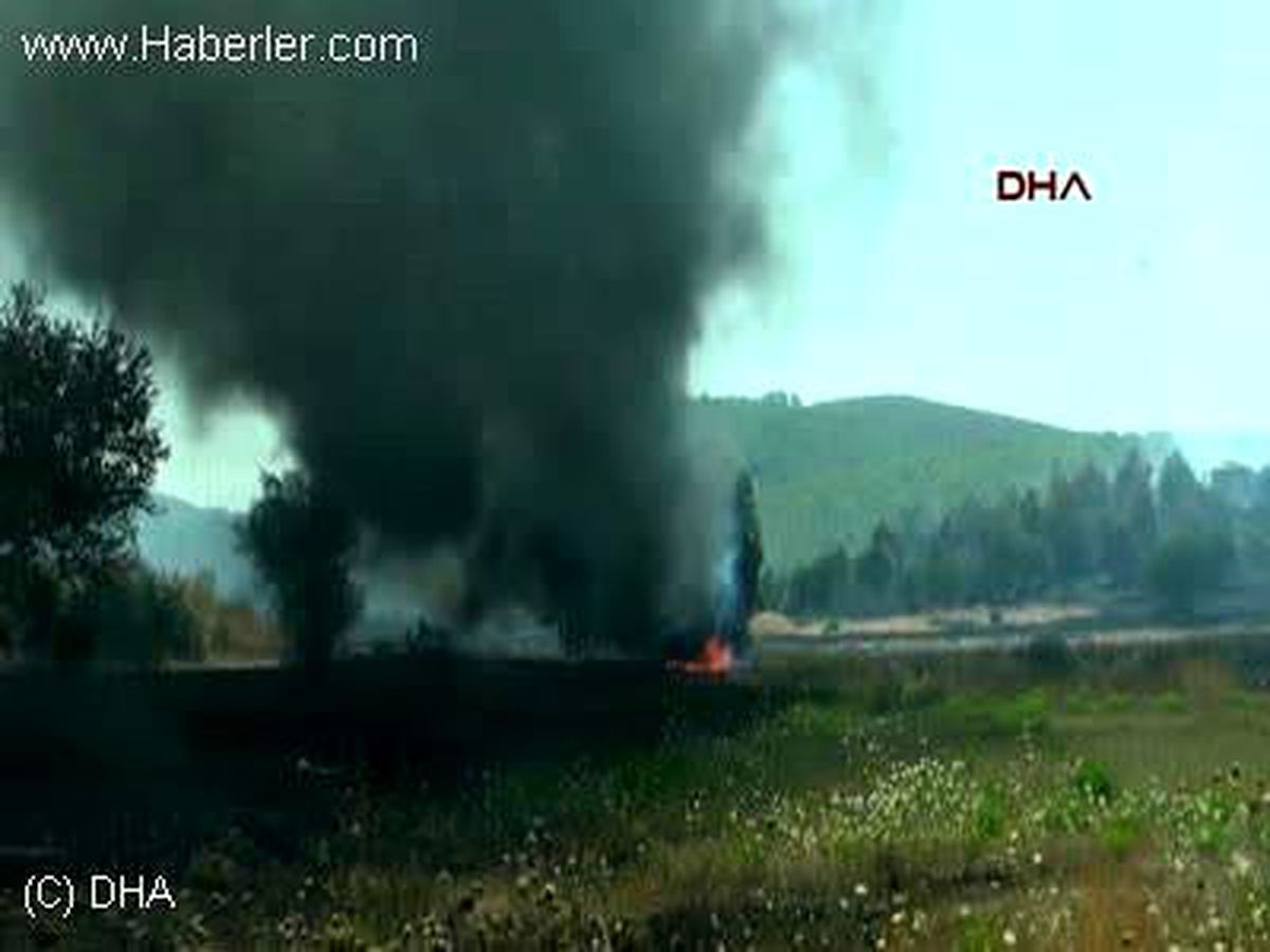 Bodrum Alevler, Halep Çamı Ormanını Küle Çevirdi
