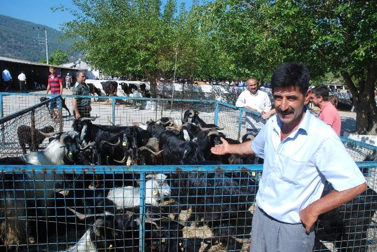 Çaldıkları Keçilerle Sadece 5 Saat Kaçabildiler