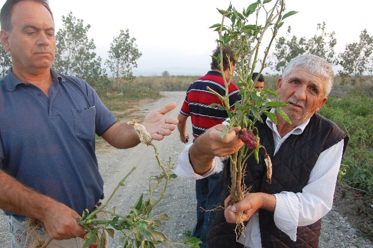 Çiftçilerin Bor Kabusu Artezyen Kuyu Açtırıyor