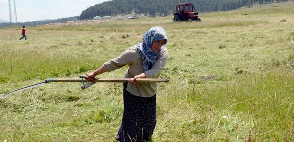 Çiftçilerin Zorlu Ramazan Mesaisi
