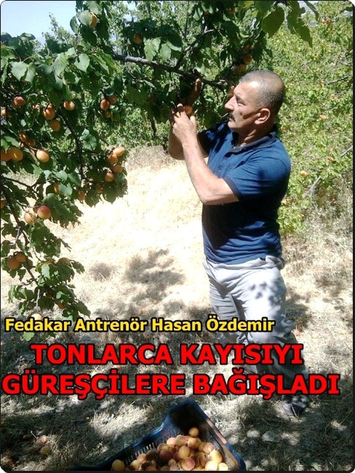 Güreş Antrenörü Hasan Özdemir, Yılın Antrenör Adayı