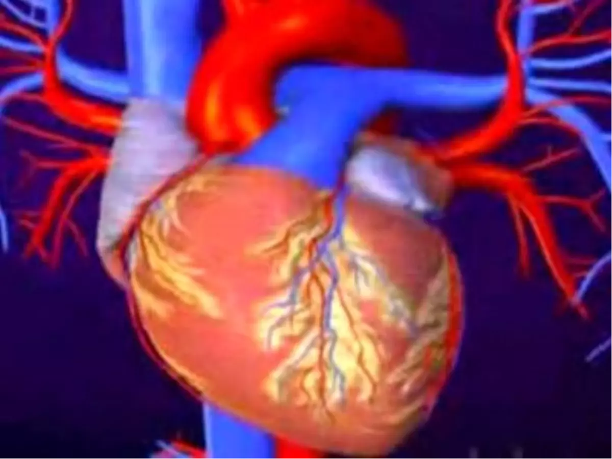 Kalp Nasıl Çalışır?