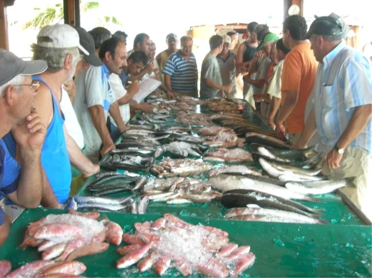 Ramazan\'da Balık Fiyatlarında Düşüş Var