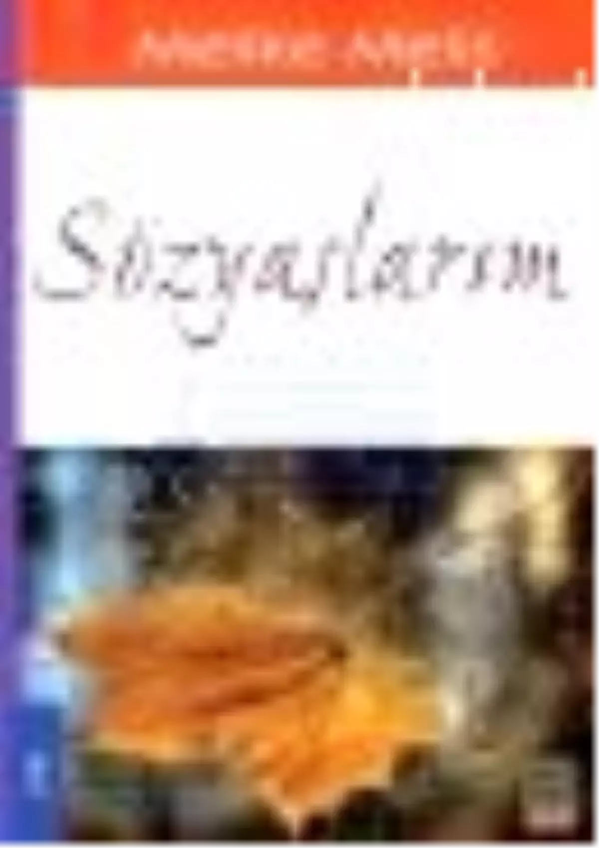 Sözyaşlarım Kitabı