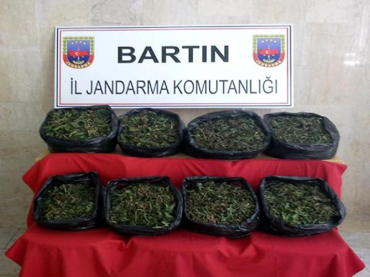 Tarlaya Tohum Baskını