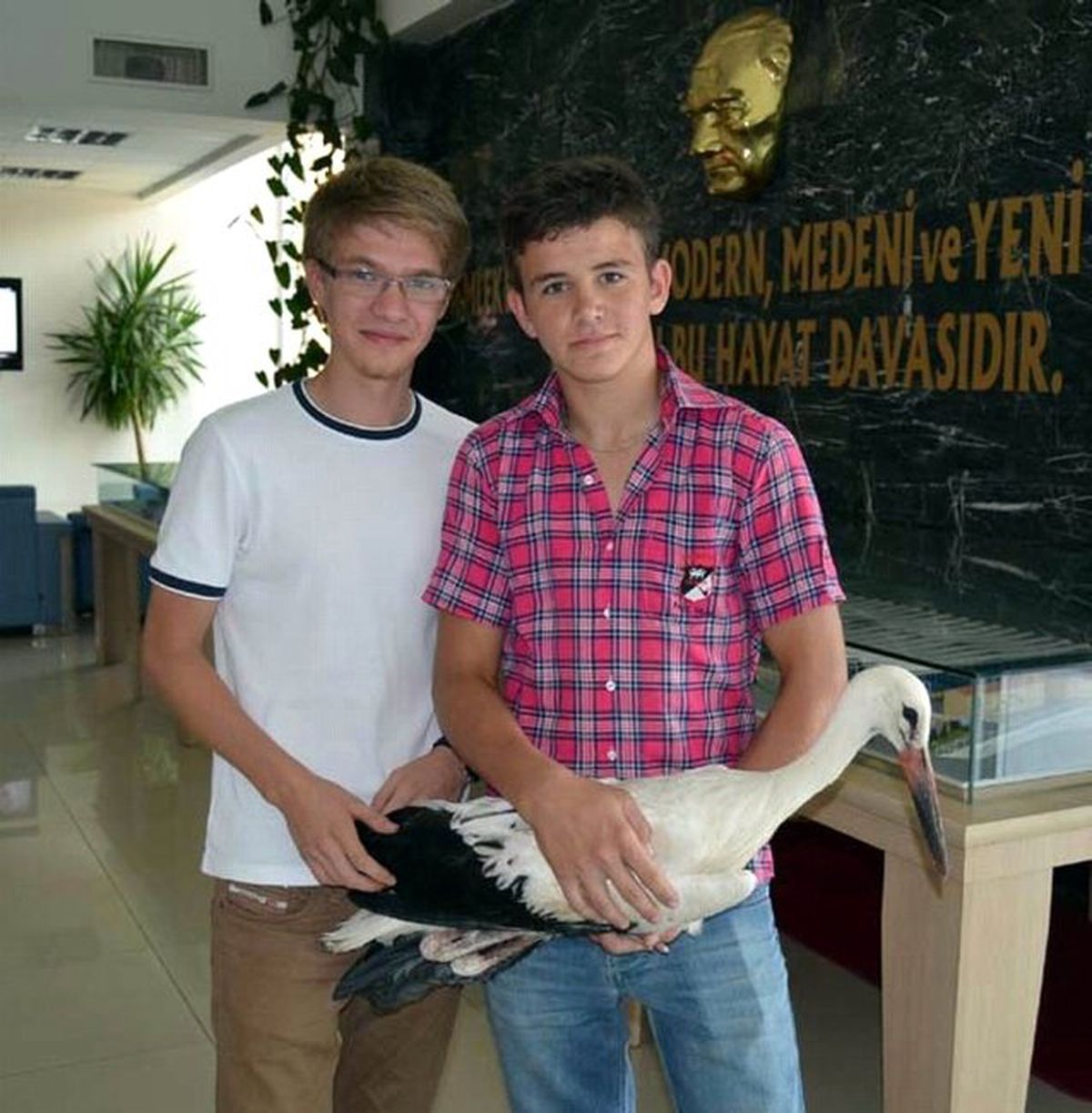 Yaralı Leylek Milli Park Yetkililerine Teslim Edildi