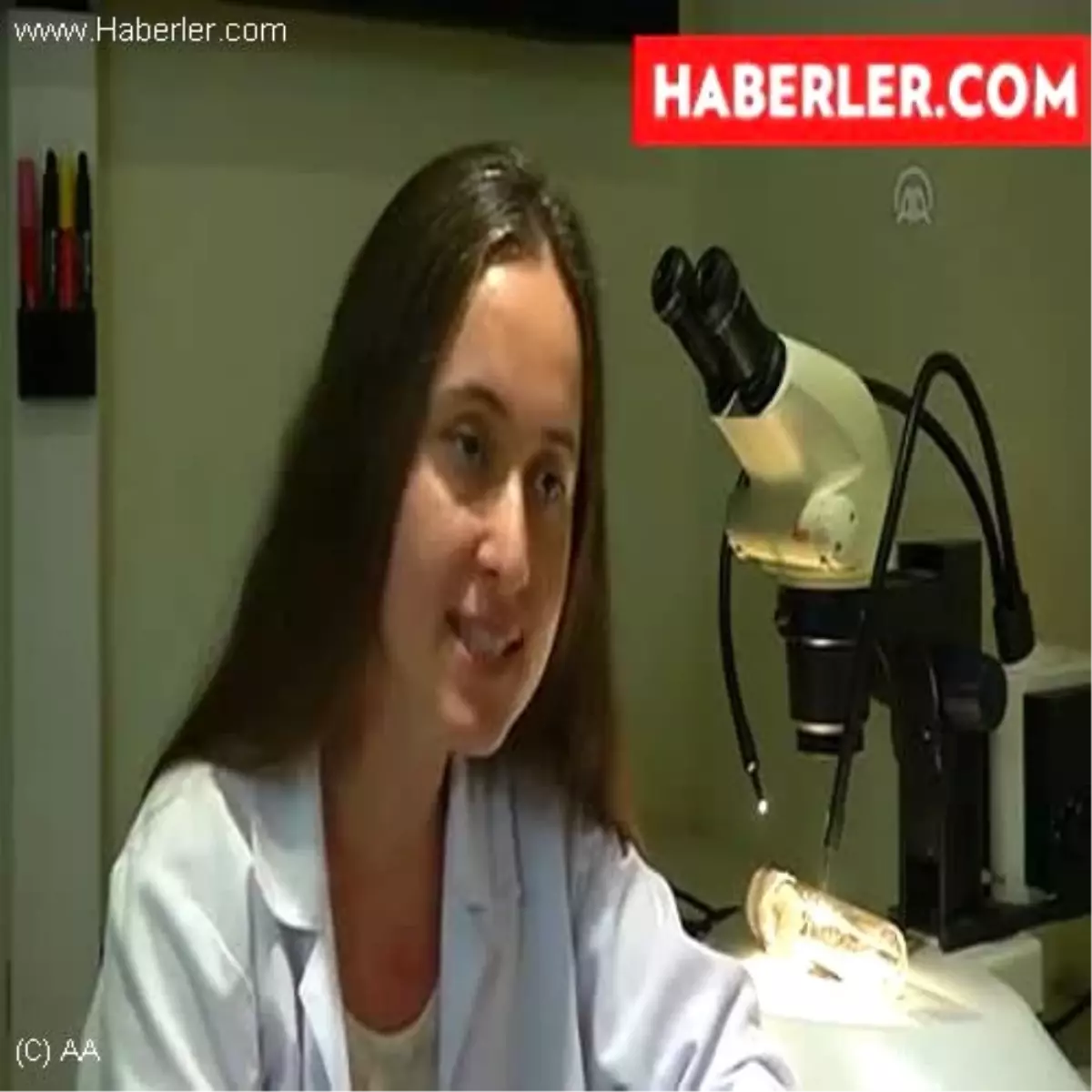 Böcekler böceklere karşı