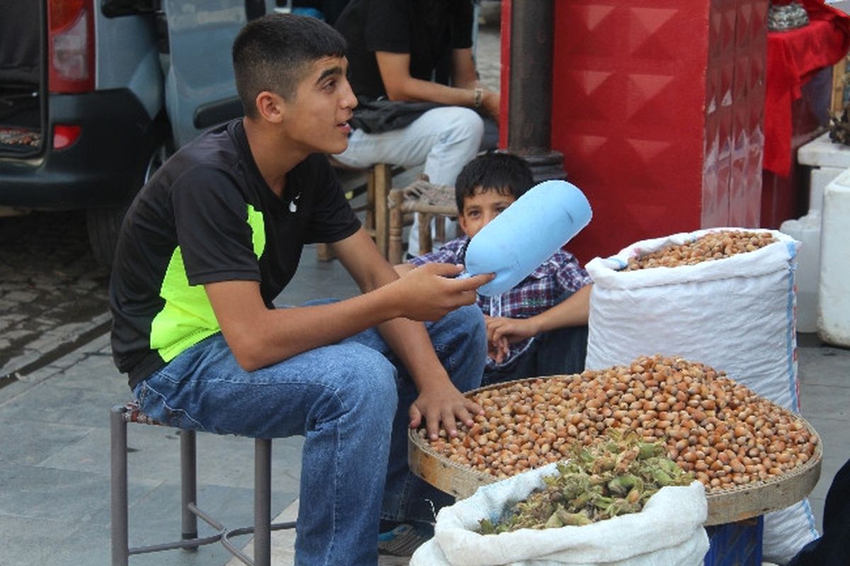 Çotanak Tezgahta Yerini Aldı