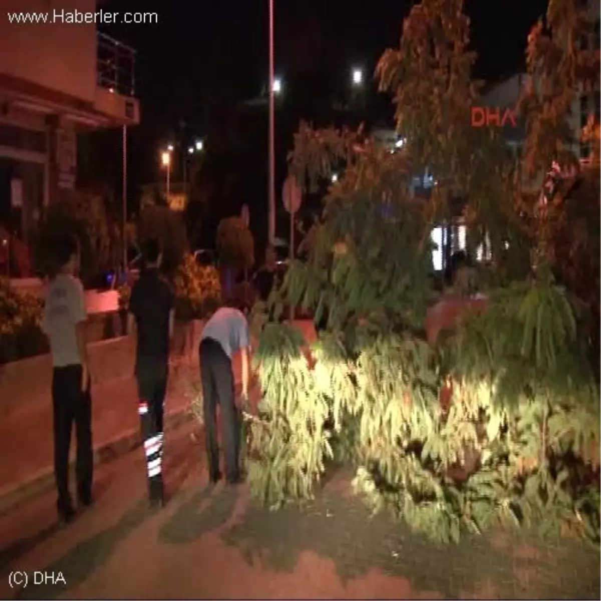 Devrilen Ağaç Yolu Kapadı