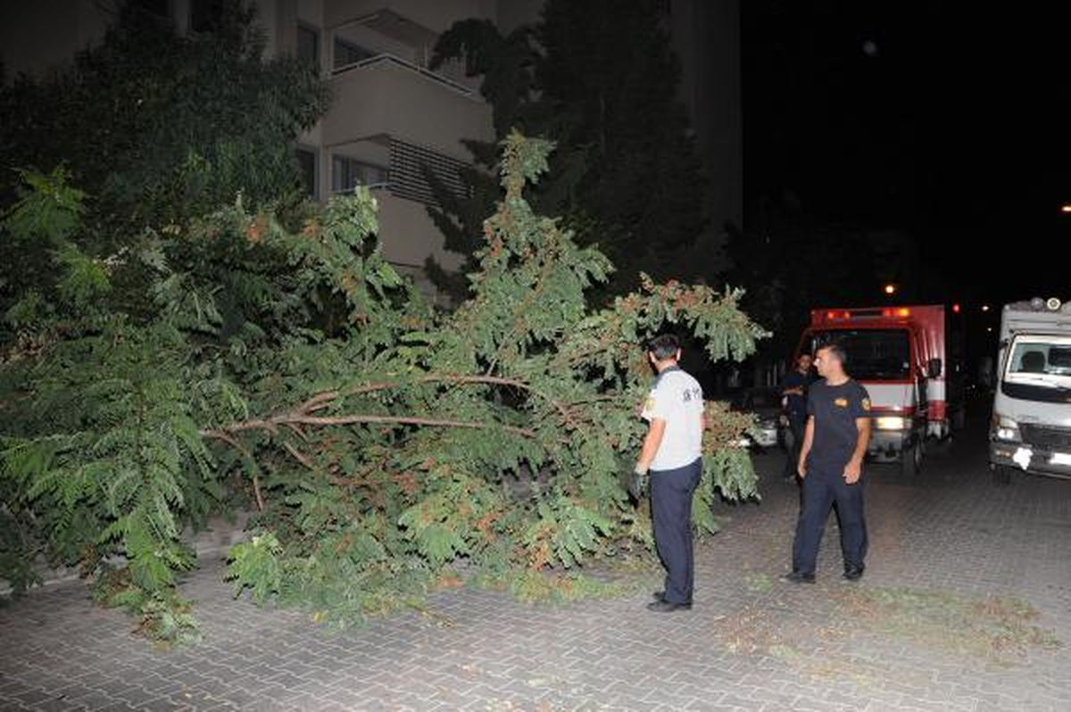 Devrilen Ağaç Yolu Kapadı