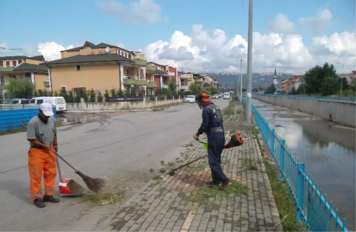 Kaldırımlarda Ot Temizliği Yapılıyor