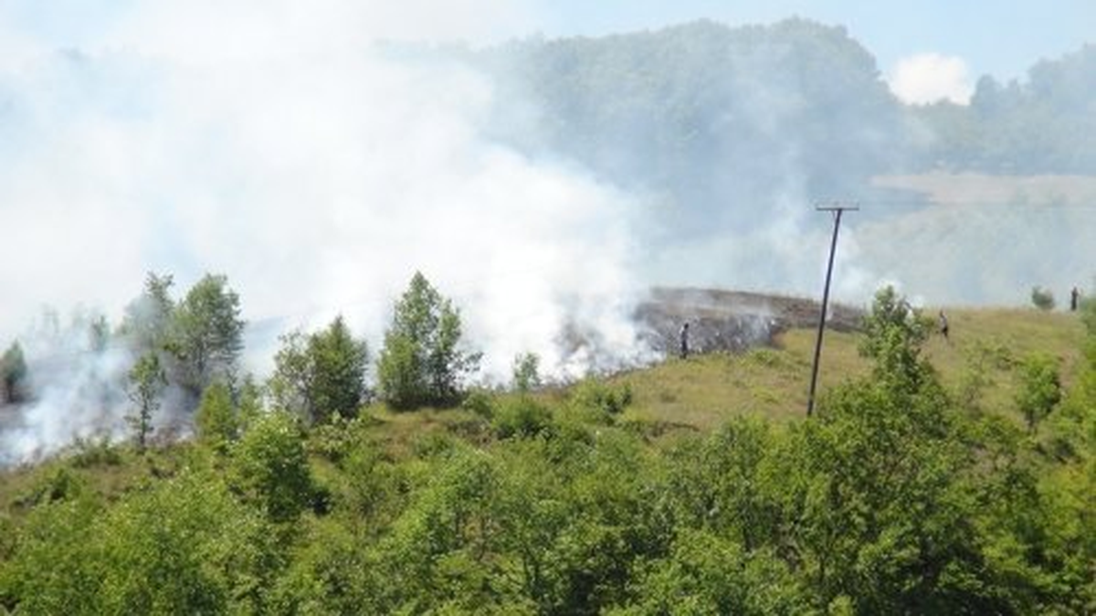 Keşif Uçuşu Yapan Helikopter Orman Yangınını Söndürdü