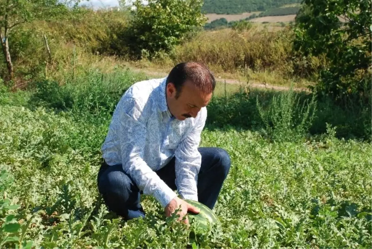 Başkan Doğan, Köylerde